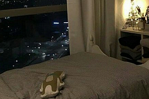 孤独的qq伤感个性签名男生 我那丑态百出的模样和一厢情愿的流浪_QQ签名
