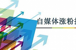 自媒体引流涨粉技巧,总结这6个引流方法_网络推广_超级蜘蛛池