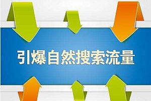 自然搜索流量如何提升?直通车标签如何优化?_网络推广_超级蜘蛛池