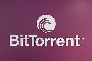 BitTorrent BT下载原理分析