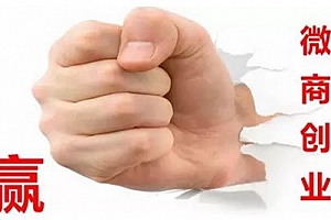 恐慌:微商造就了“伪创业”迷局