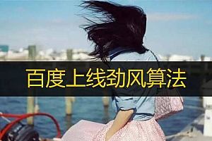 百度上线劲风算法,专门打击聚合页