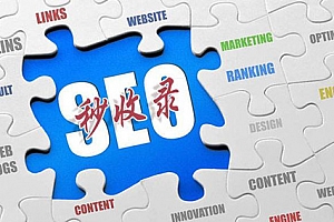 怎样保持网站被百度秒收录_蜘蛛技巧_超级蜘蛛池
