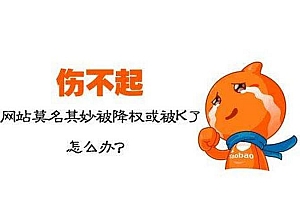 如何判断网站是否受到了搜索引擎的惩罚_蜘蛛技巧_超级蜘蛛池