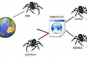 超级蜘蛛池之robots的优化