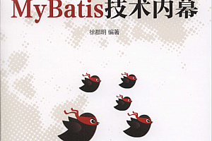 MyBatis技术内幕 中文完整pdf