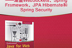 Java Web高级编程 pdf