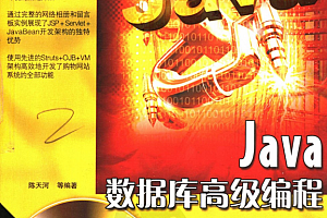 Java数据库高级编程宝典 陈天河 PDF