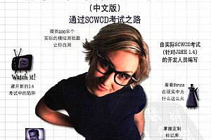 Head First Servlets & JSP(中文版)完整带目录