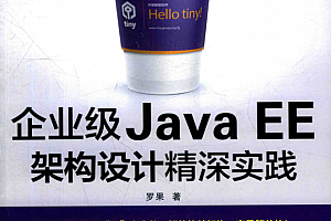 企业级JavaEE架构设计精深实践