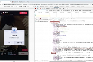 教你纯手动下载抖音无水印视频