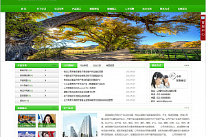 无忧企业网站管理系统高级版(带手机版)v6.5