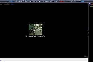 永久网络电台 v1.1 ACCESS-SQL全功能版 GB2312
