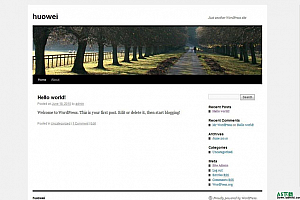 WordPress v5.5 正式版