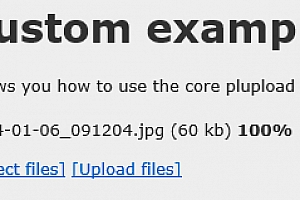 Plupload v2.3.1
