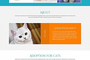 宠物猫买卖交易网站模板