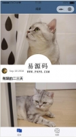 微信小程序DUDU资讯demo源码下载牛品源码-源码下载-源码社区-zblog主题插件-PHP源码-三合一源码-直播源码-短视频源码-APP源码-即时通讯-源码-交友源码牛品源码网