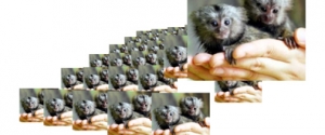 暴爽HTML 3D 立体图片相册特效牛品源码-源码下载-源码社区-zblog主题插件-PHP源码-三合一源码-直播源码-短视频源码-APP源码-即时通讯-源码-交友源码牛品源码网