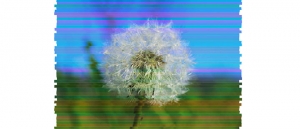 js+css3模拟电视机信号不稳定图像画面故障动画特效牛品源码-源码下载-源码社区-zblog主题插件-PHP源码-三合一源码-直播源码-短视频源码-APP源码-即时通讯-源码-交友源码牛品源码网