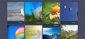 jQuery+modernizr.js瀑布流图片预加载动画特效牛品源码-源码下载-源码社区-zblog主题插件-PHP源码-三合一源码-直播源码-短视频源码-APP源码-即时通讯-源码-交友源码牛品源码网