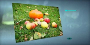 HTML5图片倾斜3D旋转轮播代码牛品源码-源码下载-源码社区-zblog主题插件-PHP源码-三合一源码-直播源码-短视频源码-APP源码-即时通讯-源码-交友源码牛品源码网