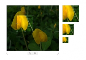 jQuery图片裁剪插件Jcrop.js牛品源码-源码下载-源码社区-zblog主题插件-PHP源码-三合一源码-直播源码-短视频源码-APP源码-即时通讯-源码-交友源码牛品源码网
