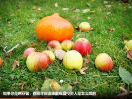 jQuery图片横向滚动轮播代码牛品源码-源码下载-源码社区-zblog主题插件-PHP源码-三合一源码-直播源码-短视频源码-APP源码-即时通讯-源码-交友源码牛品源码网