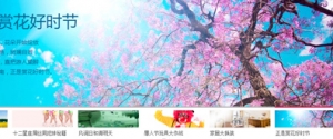 纯色调支持缩略图和描述的焦点图代码牛品源码-源码下载-源码社区-zblog主题插件-PHP源码-三合一源码-直播源码-短视频源码-APP源码-即时通讯-源码-交友源码牛品源码网