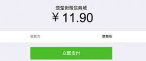前端模拟微信app支付页面效果牛品源码-源码下载-源码社区-zblog主题插件-PHP源码-三合一源码-直播源码-短视频源码-APP源码-即时通讯-源码-交友源码牛品源码网
