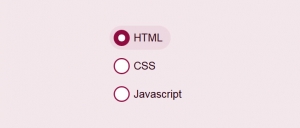 css3美化单选按钮点击选中动画特效牛品源码-源码下载-源码社区-zblog主题插件-PHP源码-三合一源码-直播源码-短视频源码-APP源码-即时通讯-源码-交友源码牛品源码网