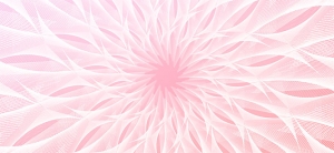 html5 canvas透明白色花环图形动画特效牛品源码-源码下载-源码社区-zblog主题插件-PHP源码-三合一源码-直播源码-短视频源码-APP源码-即时通讯-源码-交友源码牛品源码网