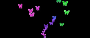 html5 canvas飞舞的蝴蝶动画特效牛品源码-源码下载-源码社区-zblog主题插件-PHP源码-三合一源码-直播源码-短视频源码-APP源码-即时通讯-源码-交友源码牛品源码网