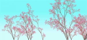 HTML5 Canvas绘制漂亮的樱花树背景特效牛品源码-源码下载-源码社区-zblog主题插件-PHP源码-三合一源码-直播源码-短视频源码-APP源码-即时通讯-源码-交友源码牛品源码网
