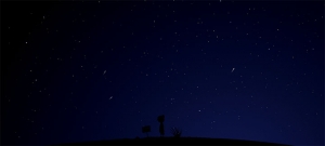 html5 svg夜空中星星流星动画场景特效牛品源码-源码下载-源码社区-zblog主题插件-PHP源码-三合一源码-直播源码-短视频源码-APP源码-即时通讯-源码-交友源码牛品源码网