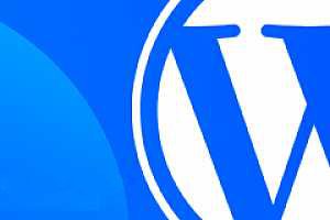 WordPress后台如何查看当天用户注册数量以及用户注册时间排序教程牛品源码-源码下载-源码社区-zblog主题插件-PHP源码-三合一源码-直播源码-短视频源码-APP源码-即时通讯-源码-交友源码牛品源码网