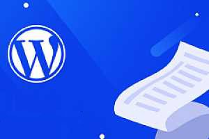 wordpress获取当前分类名称或别名的详细教程牛品源码-源码下载-源码社区-zblog主题插件-PHP源码-三合一源码-直播源码-短视频源码-APP源码-即时通讯-源码-交友源码牛品源码网