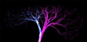 HTML5 Canvas梦幻色彩大树生长动画特效牛品源码-源码下载-源码社区-zblog主题插件-PHP源码-三合一源码-直播源码-短视频源码-APP源码-即时通讯-源码-交友源码牛品源码网