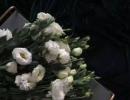00后女生伤感个性签名超拽 所有费力讨好的关系就算了吧_QQ签名牛品源码-源码下载-源码社区-zblog主题插件-PHP源码-三合一源码-直播源码-短视频源码-APP源码-即时通讯-源码-交友源码牛品源码网