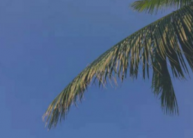 2019二月qq个性签名悲伤绝望 二月你好心里难过的伤感个性签名大全_QQ签名牛品源码-源码下载-源码社区-zblog主题插件-PHP源码-三合一源码-直播源码-短视频源码-APP源码-即时通讯-源码-交友源码牛品源码网