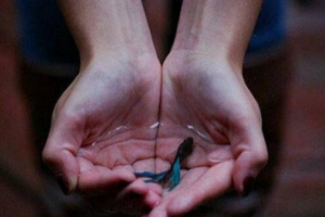 下雨天的心情签名伤感2018 下雨天的心情句子经典大全_QQ签名牛品源码-源码下载-源码社区-zblog主题插件-PHP源码-三合一源码-直播源码-短视频源码-APP源码-即时通讯-源码-交友源码牛品源码网