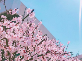 简洁的微博网名女生带小清新风格 夏天碎花小短裙_QQ网名牛品源码-源码下载-源码社区-zblog主题插件-PHP源码-三合一源码-直播源码-短视频源码-APP源码-即时通讯-源码-交友源码牛品源码网