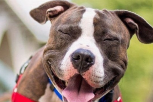 2018男生搞笑微信网名大全 期待一夜暴富_QQ网名牛品源码-源码下载-源码社区-zblog主题插件-PHP源码-三合一源码-直播源码-短视频源码-APP源码-即时通讯-源码-交友源码牛品源码网