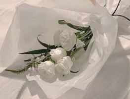 深夜伤感说说崩溃想哭 我和我的心事不能寐_QQ说说牛品源码-源码下载-源码社区-zblog主题插件-PHP源码-三合一源码-直播源码-短视频源码-APP源码-即时通讯-源码-交友源码牛品源码网