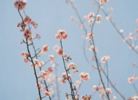 被伤的很彻底的爱情说说 最后失望了心寒了_QQ说说牛品源码-源码下载-源码社区-zblog主题插件-PHP源码-三合一源码-直播源码-短视频源码-APP源码-即时通讯-源码-交友源码牛品源码网