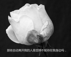最新伤感让人想哭的说说 我们彼此断了联系_QQ说说牛品源码-源码下载-源码社区-zblog主题插件-PHP源码-三合一源码-直播源码-短视频源码-APP源码-即时通讯-源码-交友源码牛品源码网
