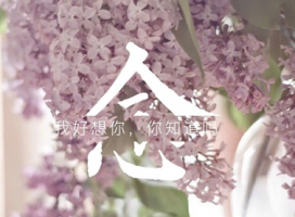 精选伤感的说说长句子大全 不要留我一个人走在路上_QQ说说牛品源码-源码下载-源码社区-zblog主题插件-PHP源码-三合一源码-直播源码-短视频源码-APP源码-即时通讯-源码-交友源码牛品源码网