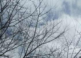 2016最新版伤感个人说说 你的好对别人来说就像一颗糖_QQ说说牛品源码-源码下载-源码社区-zblog主题插件-PHP源码-三合一源码-直播源码-短视频源码-APP源码-即时通讯-源码-交友源码牛品源码网