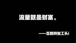 分享4种互联网获取流量的方法_网络推广_超级蜘蛛池牛品源码-源码下载-源码社区-zblog主题插件-PHP源码-三合一源码-直播源码-短视频源码-APP源码-即时通讯-源码-交友源码牛品源码网