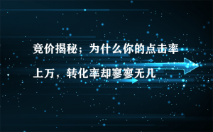 竞价揭秘;为什么你的点击率上万,转化率却寥寥无几_网络推广_超级蜘蛛池牛品源码-源码下载-源码社区-zblog主题插件-PHP源码-三合一源码-直播源码-短视频源码-APP源码-即时通讯-源码-交友源码牛品源码网
