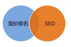 SEO自然排名优化与百度竞价的区别_网络推广_超级蜘蛛池牛品源码-源码下载-源码社区-zblog主题插件-PHP源码-三合一源码-直播源码-短视频源码-APP源码-即时通讯-源码-交友源码牛品源码网